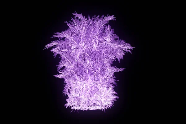 Plante d'arbre dans le style d'hologramme de Wireframe. Belle rendu 3D — Photo