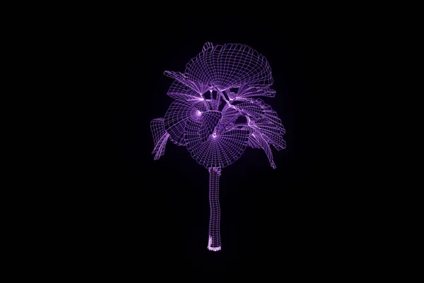 Plante d'arbre dans le style d'hologramme de Wireframe. Belle rendu 3D — Photo