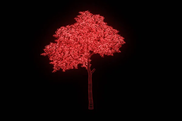 在线框全息图样式树植物。漂亮的 3d 渲染 — 图库照片