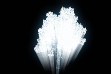 Ağaç bitki Tel Çerçeve hologramı tarzı. Güzel 3d render