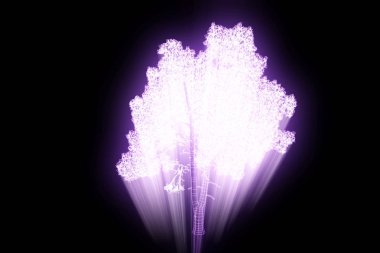 Ağaç bitki Tel Çerçeve hologramı tarzı. Güzel 3d render