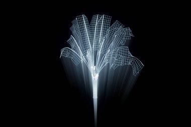 Ağaç bitki Tel Çerçeve hologramı tarzı. Güzel 3d render