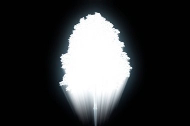 Ağaç bitki Tel Çerçeve hologramı tarzı. Güzel 3d render