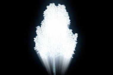 Ağaç bitki Tel Çerçeve hologramı tarzı. Güzel 3d render