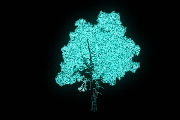 Plante d'arbre dans le style d'hologramme de Wireframe. Belle rendu 3D — Photo