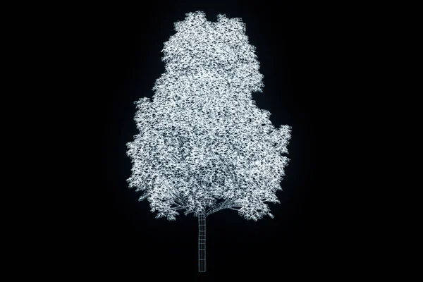 Дерево в стиле голограммы Wireframe. Nice 3D Rendering — стоковое фото