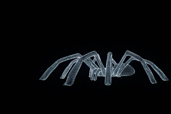 홀로그램 와이어 프레임 스타일에 거미입니다. 멋진 3d 렌더링 — 스톡 사진