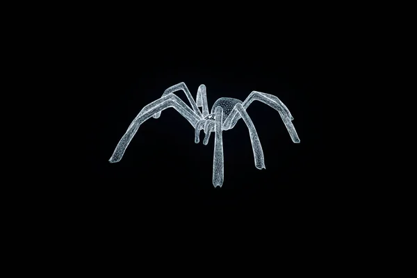 Spider in stile ologramma Wireframe. Rendering 3D piacevole — Foto Stock
