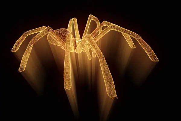 Spinne im Hologramm-Drahtgestell-Stil. schönes 3D-Rendering — Stockfoto