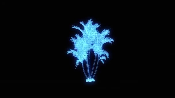 Tree Plant in Wireframe Hologram Style. Nice 3D Rendering — Stock Video