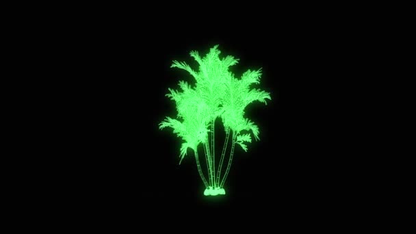 Planta de árbol en estilo holograma Wireframe. Niza 3D Rendering — Vídeo de stock