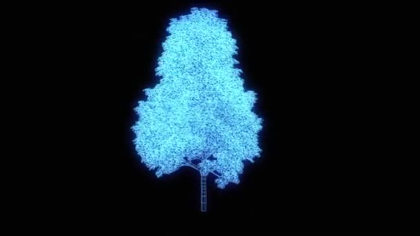 Planta de árbol en estilo holograma Wireframe. Niza 3D Rendering — Vídeo de stock