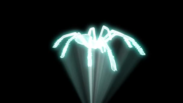 Павук у стилі голограма. 3D рендерингу — стокове відео