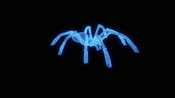 홀로그램 와이어 프레임 스타일에 거미입니다. 멋진 3d 렌더링 — 비디오