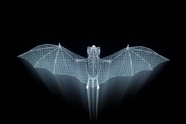 Murciélago en estilo Holograma Wireframe. Niza 3D Rendering — Foto de Stock