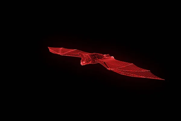 Morcego em holograma Wireframe Style. Boa renderização 3D — Fotografia de Stock