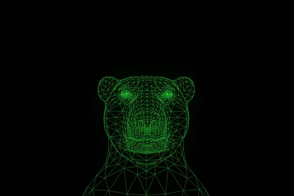 Medve Hologram drótváz stílusban. Szép 3D-s renderelés — Stock Fotó