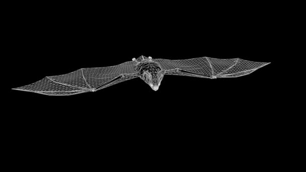 Murciélago en estilo Holograma Wireframe. Niza 3D Rendering — Vídeos de Stock