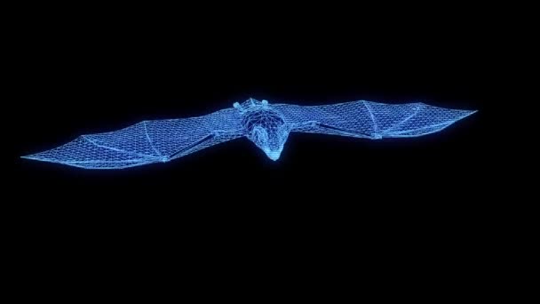 Morcego em holograma Wireframe Style. Boa renderização 3D — Vídeo de Stock