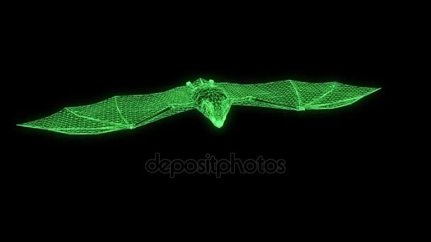Morcego em holograma Wireframe Style. Boa renderização 3D — Vídeo de Stock