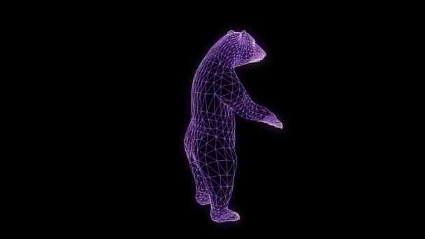 Urso em holograma Wireframe Style. Boa renderização 3D — Vídeo de Stock
