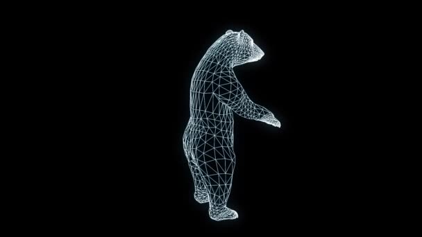 Orso in stile ologramma Wireframe. Rendering 3D piacevole — Video Stock