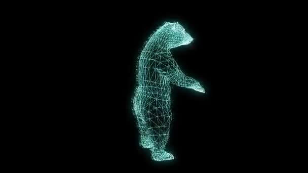 Bear in Hologram Wireframe Style (en inglés). Niza 3D Rendering — Vídeo de stock