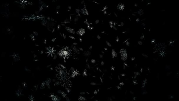 Zwevende deeltjes van de sneeuw in beweging — Stockvideo