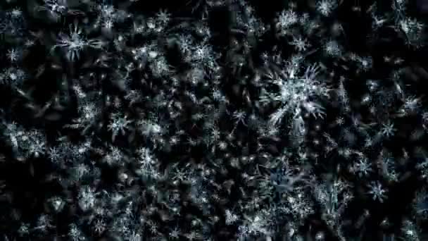 Плавающие частицы снега в движении — стоковое видео
