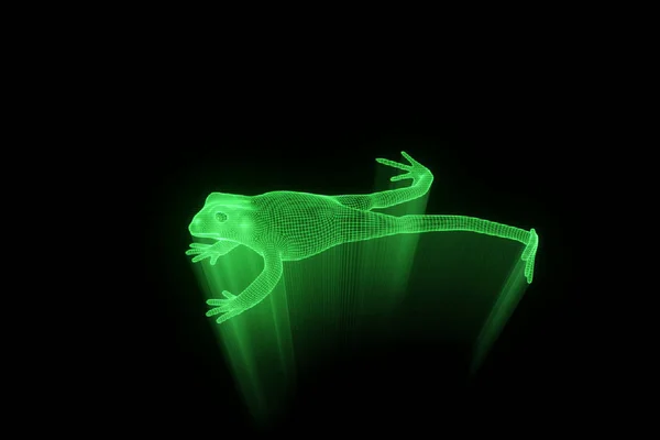 Kikker in Hologram Wireframe stijl. Mooie 3D-Rendering — Stockfoto