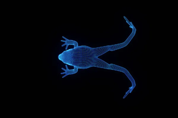 Žába ve stylu drátového modelu Hologram. Pěkný 3d vykreslování — Stock fotografie