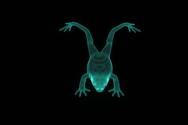 Grenouille en Hologramme Wireframe Style. Belle rendu 3D — Photo