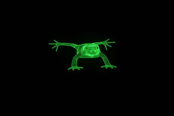 ホログラム ワイヤ フレーム スタイルでカエル。素敵な 3 d レンダリング — ストック写真