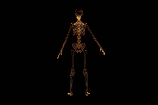Holograma de Esqueleto Humano en Movimiento. Niza 3D Rendering — Foto de Stock