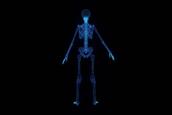 Holograma de Esqueleto Humano en Movimiento. Niza 3D Rendering —  Fotos de Stock