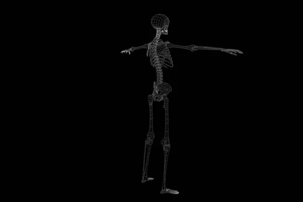 인간의 골격 와이어 프레임 모션에서 홀로그램입니다. 멋진 3d 렌더링 — 스톡 사진