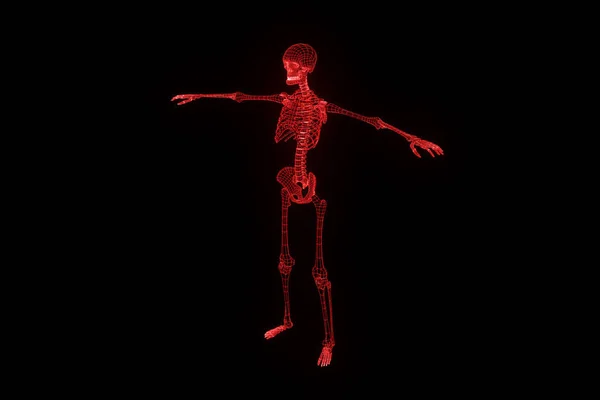Holograma de Esqueleto Humano en Movimiento. Niza 3D Rendering —  Fotos de Stock
