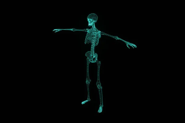 Human Skeleton Wireframe Hologram in Motion. Nice 3D Rendering — Stock Photo, Image