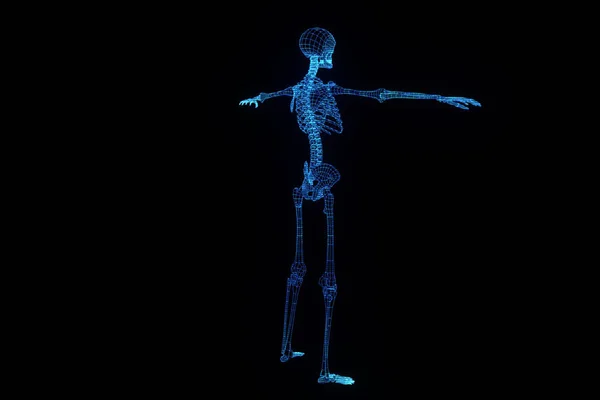 Hologramme squelette humain en mouvement. Belle rendu 3D — Photo