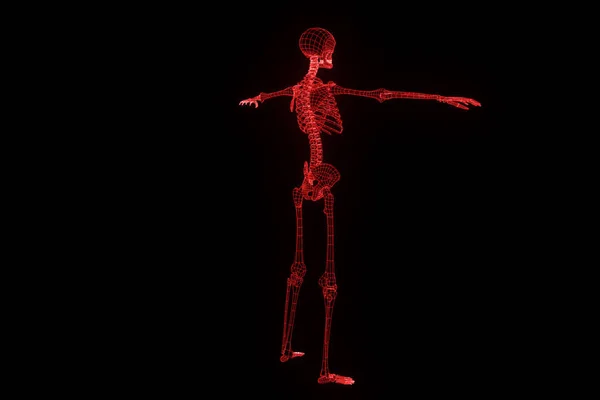 Holograma de Esqueleto Humano en Movimiento. Niza 3D Rendering —  Fotos de Stock