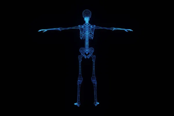 Stock image Human Skeleton Wireframe Hologram in Motion. Nice 3D Rendering