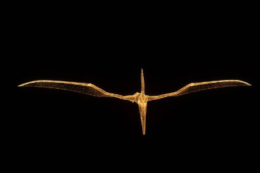 Dinozor Pteranodon Hologram tel kafes tarzı. Güzel 3d render