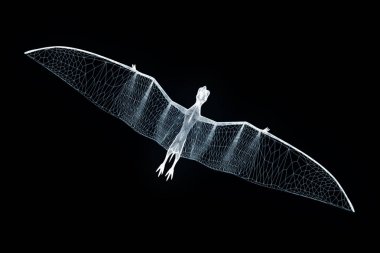 Dinozor Pteranodon Hologram tel kafes tarzı. Güzel 3d render