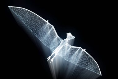 Dinozor Pteranodon Hologram tel kafes tarzı. Güzel 3d render