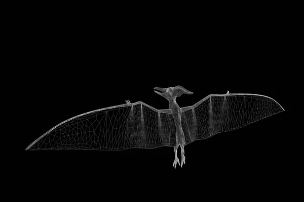 Δεινόσαυρος Pteranodon σε ολόγραμμα Wireframe στυλ. Ωραία 3d Rendering — Φωτογραφία Αρχείου