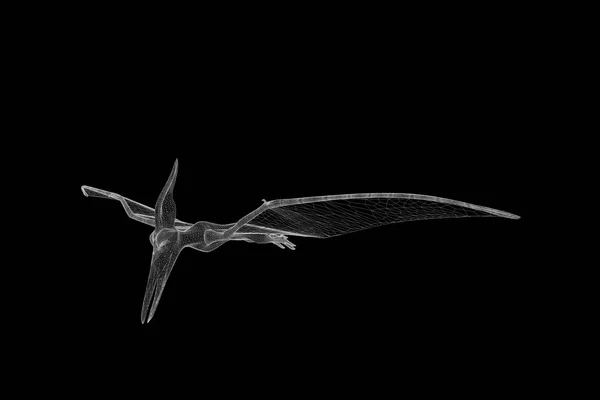 Dinosaur Pteranodon in Hologram Wireframe stijl. Mooie 3D-Rendering — Stockfoto