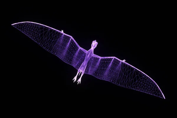 Pteranodon dinozaurów w stylu model szkieletowy Hologram. Ładne renderowania 3d — Zdjęcie stockowe