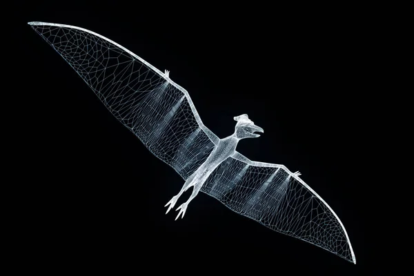 Dinossauro Pteranodon em holograma Wireframe Style. Boa renderização 3D — Fotografia de Stock