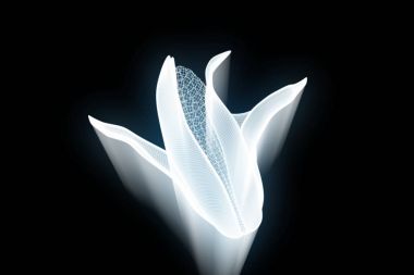 Mısır Hologram tel kafes tarzı. Güzel 3d render