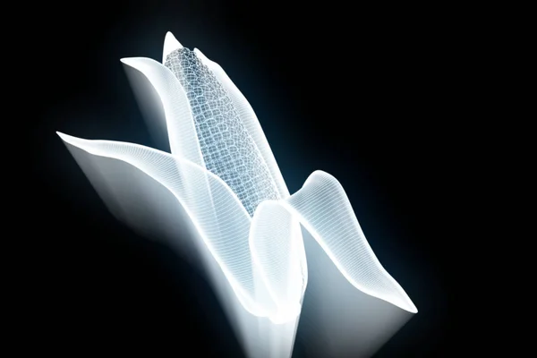Milho em holograma Wireframe Style. Boa renderização 3D — Fotografia de Stock